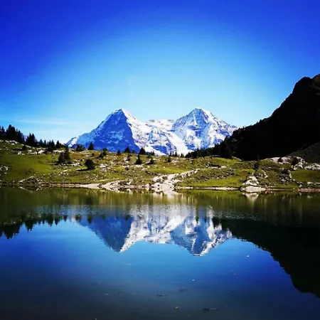 Swisshut Stunning Views Alps - Apart. Ringold Down Apartment