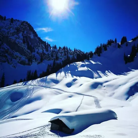 Swisshut Stunning Views Alps - Apart. Ringold Down Apartment *