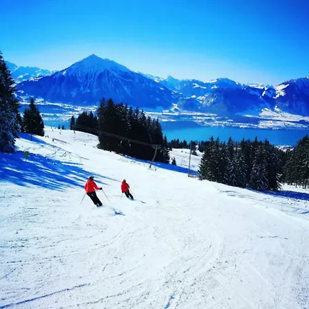 Apartment Swisshut Stunning Views Alps - Apart. Ringold Down *