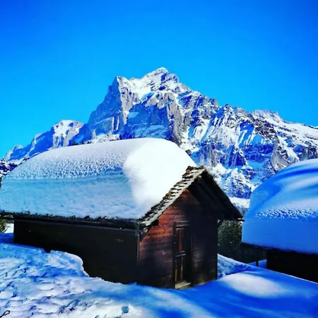 Apartment Swisshut Stunning Views Alps - Apart. Ringold Down Sigriswil