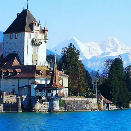 Apartment Swisshut Stunning Views Alps - Apart. Ringold Down *