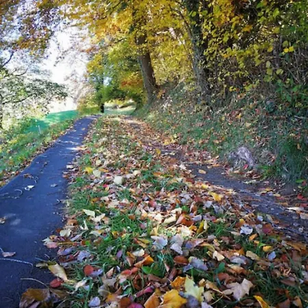 Concierge With Scenic Views And Long By Swisshut Sigriswil