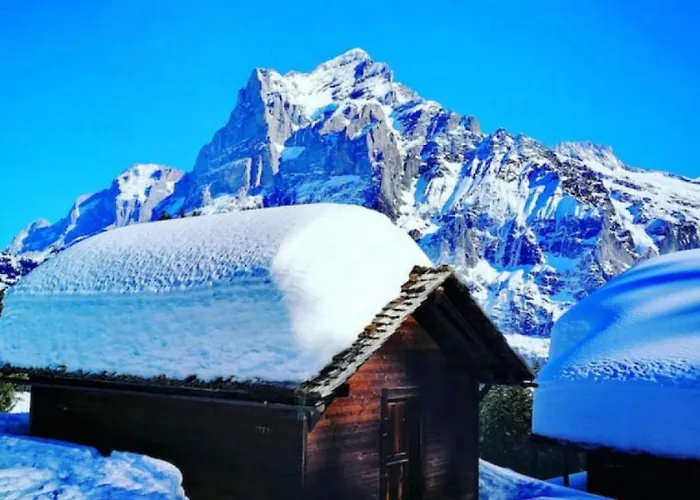 Apartment Concierge With Scenic Views And Long By Swisshut Sigriswil