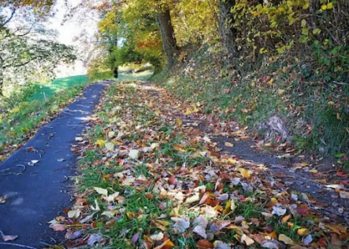 Concierge With Scenic Views And Long By Swisshut Sigriswil